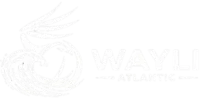 Wayli Atlantic